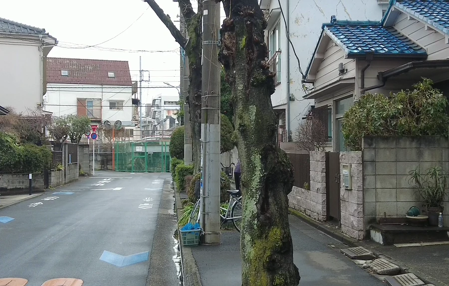 どぶ川と線路